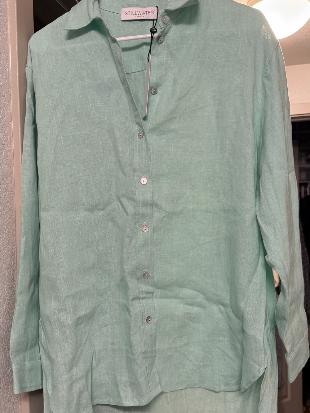 Stillwater Mint Green Linen Button-Up Top
